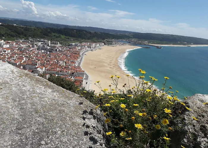 Aconchego Local Nazaré